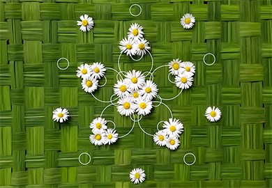 WOTW_1_nóinín_A.S.-Dutton_thumbnail.png#asset:13697