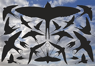 WOTW_2_fainleog_A.S.-Dutton_thumbnail.png#asset:13731