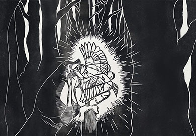 WOTW_3_lasair_choille_Aisling-Jelinski_thumbnail_final-final.png#asset:13745