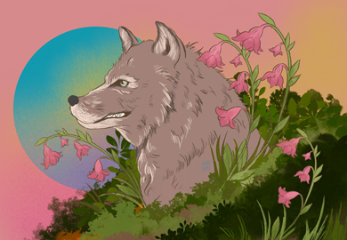 WOTW_44_Mac-Tíre_Amy-Louise_thumbnail.png#asset:12899